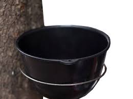 Kiềng truyền thống cần dây cột cố định chén hứng mủ cao su